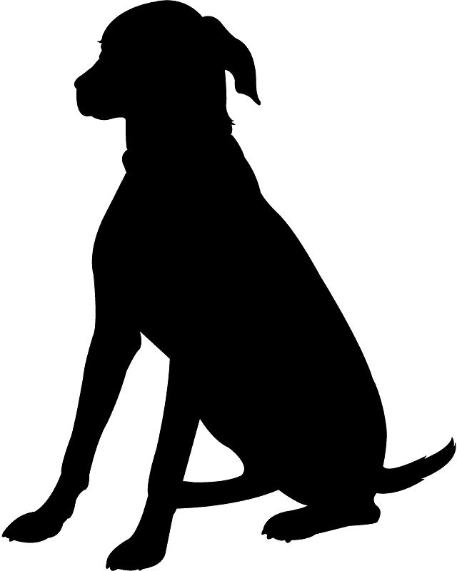 Bluetick Coonhound som hvalp